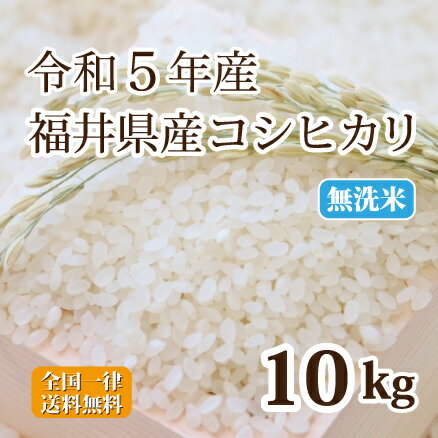 令和5年産 無洗米福井県産コシヒカリ 10kg 白米 コシヒカリ 単一原料米 安い 5kg×2 送料無料