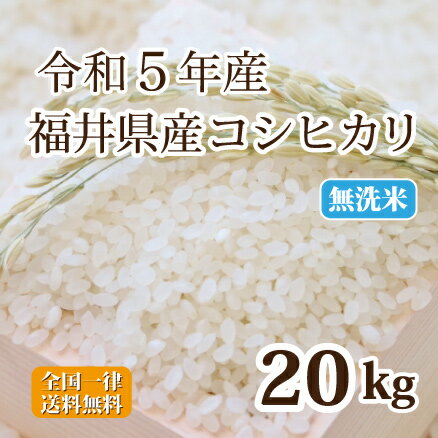 令和5年産 無洗米福井県産コシヒカリ 20kg 白米 コシヒカリ 単一原料米 安い 5kg×4 送料無料