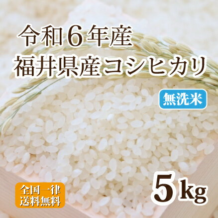 令和6年産 無洗米福井県産コシヒカリ 5kg 白米 コシヒカリ 単一原料米 安い 送料無料