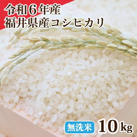 ̵ʡ温ҥñ츶5kg10kg15kg20kgư