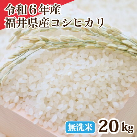 ̵ʡ温ҥñ츶5kg10kg15kg20kgư