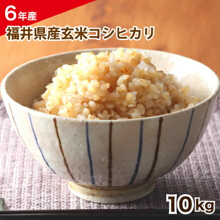 玄米 令和6年産 福井県産コシヒカリ玄米10kg 単一原料米 栄養満点 お米 安い 10kg×1 送料無料 玄米