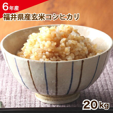 ʡ温ҥ10kg20kgư