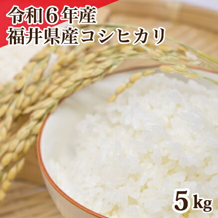 ʡ温ҥñ츶5kg10kg15kg20kgư