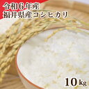 令和6年産 福井県産コシヒカリ 10kg 白米 コシヒカリ 単一原料米 安い 美味しい 5kg×2 送料無料