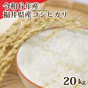 令和6年産 福井県産コシヒカリ 20kg 白米 コシヒカリ 単一原料米 安い 美味しい 5kg×4 送料無料
