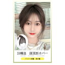 3Dポイントウィッグ 人毛頭頂部ポイントウィッグ POINT WIG 頭頂部ウィッグ 白髪隠し 手植え 人毛100%使用 ボリュームアップ