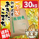 【令和5年産】玄米 秋田県産 あきたこまち 30kg 一等米玄米 あきたこまち 30キロ 秋田県産 アキタコマチ【TD】【米TKR】【メーカー直送品】 2