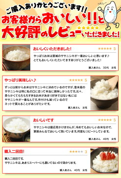 宮城県産 ササニシキ 10kg(5kg×2)【29年産】送料無料 29年 白米 お米 ご飯 ささにしき 宮城米 29年度産 ササニシキ10kg 10キロ 5キロ×2【TD】【TRS】【メーカー直送品】 【trss】