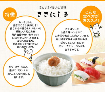 宮城県産 ササニシキ 10kg(5kg×2)【29年産】送料無料 29年 白米 お米 ご飯 ささにしき 宮城米 29年度産 ササニシキ10kg 10キロ 5キロ×2【TD】【TRS】【メーカー直送品】 【trss】