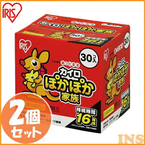 【2個セット】カイロ ぽかぽか家族レギュラー 貼らないカイロ 30個入 PKN-30R アイリスオーヤマカイロ 貼らない かいろ 防寒 使い捨てカイロ 冬