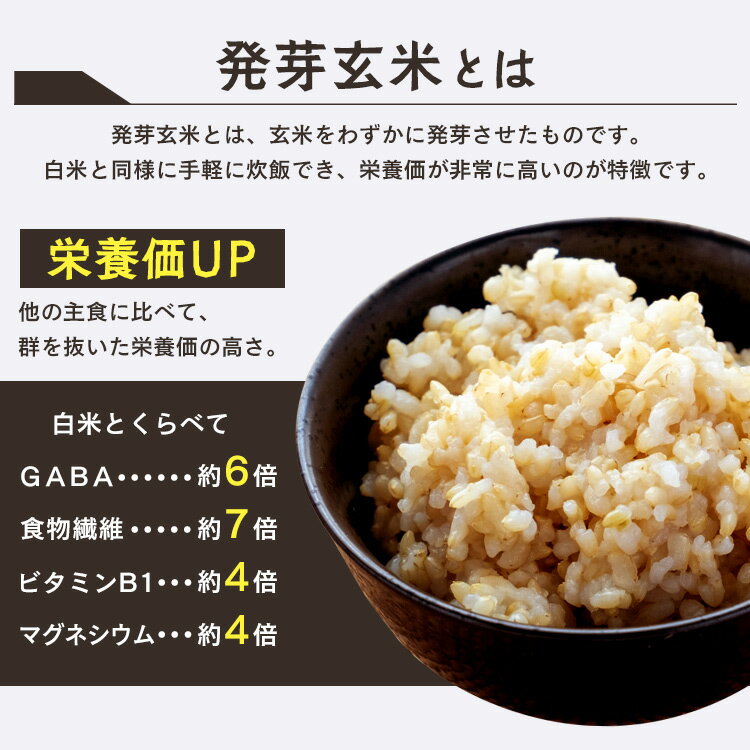 発芽玄米 300g 無洗米 玄米 つや姫 GABA 食物繊維 ビタミン マグネシウム 一人暮らし 発芽玄米 300g 手軽 小分け アイリスフーズ
