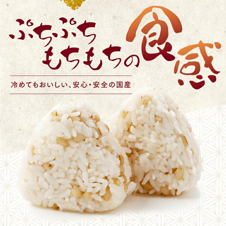 国産もち麦300g スタンドチャック付き もち麦 国産 スタンドチャック 小分け 食物繊維 雑穀 穀物 もちむぎ スタンドパック チャック付 モチムギ 国産もち麦 日本産 アイリスフーズ