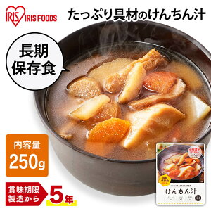 けんちん汁 250g 非常食 保存食 おかず 5年保存 スープ レトルト パウチ インスタント 災対食パウチけんちん汁 災対食 防災 備蓄 おふくろの味 やさい ヤサイ 野菜 災害対応食 アイリスフーズ