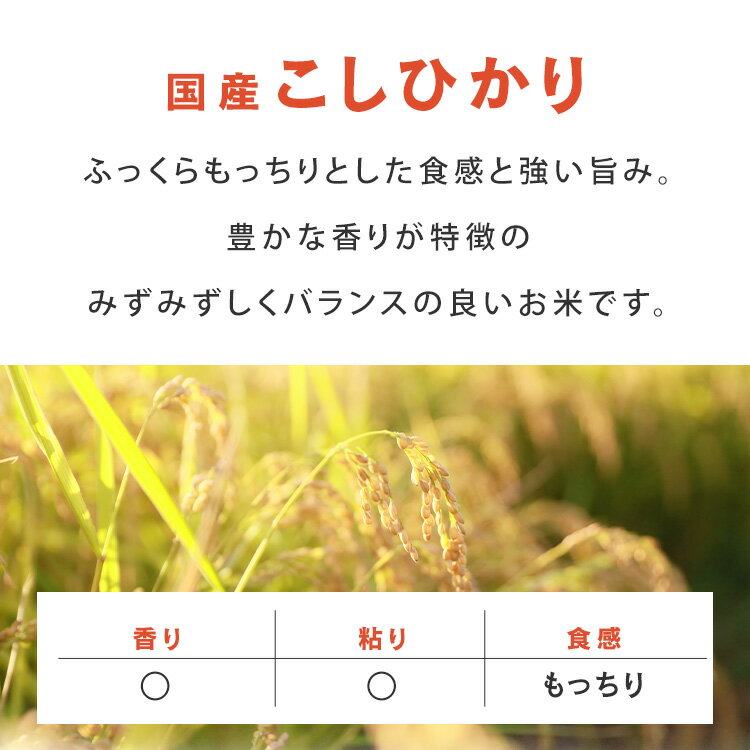 パックご飯 200g 3食 5食 アイリスオーヤマ 送料無料 こしひかり レトルトご飯 パックごはん 国産米100％ 酸味料不使用 レトルト御飯 パック御飯 非常食 備蓄用 防災 常温保存可 一人暮らし 仕送り 低温製法米のおいしいごはん アイリスフーズ