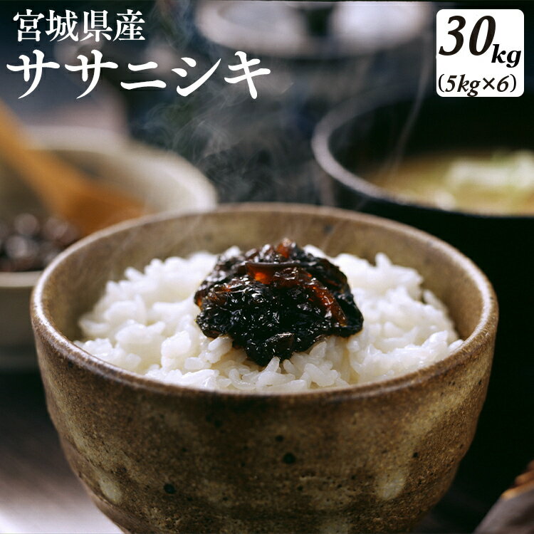 【令和元年産】宮城県産 ササニシキ 5kg×6送料無料 ササニシキ 30kg 米 3...