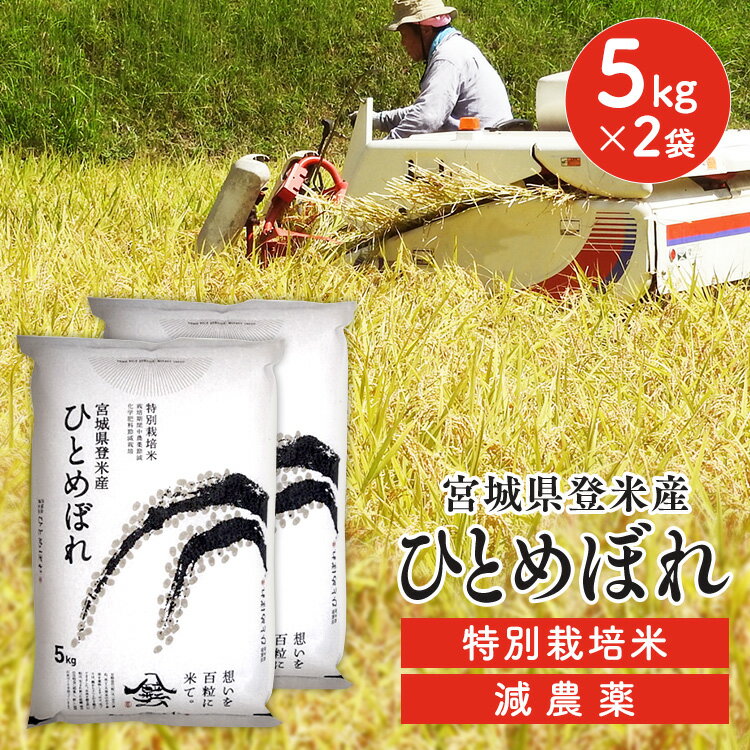 宮城産 ひとめぼれ 白米 米 10kg 送料無料 ひとめぼれ 宮城県産 令和5年産 特別栽培米 減農薬米 精米 減農薬 10キロ ヒトメボレ お米 こめ コメ ごはん ご飯 まとめ買い 大容量 セット 2個セット 5×2袋セット 宮城県産ひとめぼれ【TD】【米TRS】