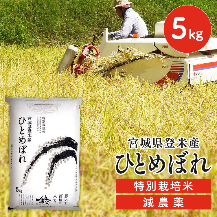 宮城産 ひとめぼれ 【令和5年産】白米 米 送料無料 特別栽培米 ひとめぼれ 宮城県登米産 5kg 減農薬米 宮城県産ひとめぼれ 5キロ 5キロ 精米 減農薬 ヒトメボレ お米 コメ おこめ ご飯 ごはん【TD】【米TRS】