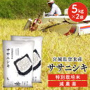 白米 米 令和5年産 送料無料 宮城県産 ササニシキ 特別栽培米 10kg（5kg×2）減農薬米 ささにしき 10キロ 減農薬 ご飯 ごはん お米 おこめ コメ 米10キロ お米10キロ 米10kg 宮城県産ササニシキ