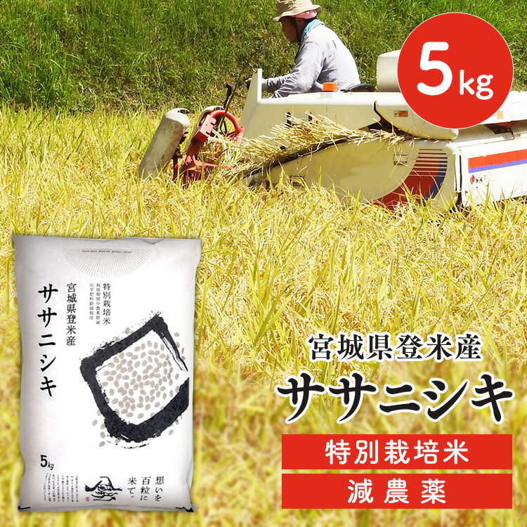 ＼目玉商品／ 白米 米 令和5年産 送料無料 宮城県産 ササニシキ 特別栽培米 5kg 減農薬米 ささにしき 5キロ 減農薬 ご飯 ごはん お米 おこめ コメ 米5キロ お米5キロ 米5kg 宮城県産ササニシキ…