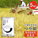 白米 米 令和5年産 送料無料 宮城県