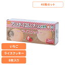 【48箱セット】防災用品 非常食 クッキー 尾西のライスクッキー いちご 4008非常食 防災用品 防災食品 長期保存食 クッキー 食物アレルギー 米粉 おやつ 保存食 備蓄 尾西食品