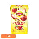 リプトン アップル ティーバッグ 15袋 紅茶 ティーバッグ リプトン フレーバーティー アップルティー フルーツティー キーコーヒー