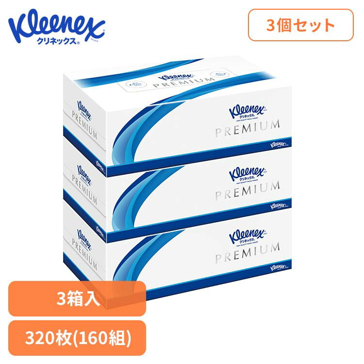 ��3�ĥ��åȡۥ���ͥå��� �ƥ����塼 �ץ�ߥ��� 3Ȣ�ѥå� 40853����ͥå��� �ƥ����塼 �ƥ��å��� �ץ�ߥ��� �ܥå��� ������ 160�� 3Ȣ 320�� 3Ȣ���å� �������楯�쥷��[2603SX]