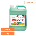 【3個セット】ルーキー 厨房ブリーチ 第一石鹸 ルーキーV 漂白剤 台所用漂白剤 除菌 消臭 漂白 アルカリ性 業務用 大容量 第一石鹸