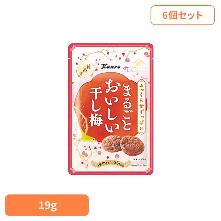 【6個】まるごとおいしい干し梅 19g カンロ かんろ kanro 梅 梅干し お菓子 おやつ 間食 種なし まとめ買い