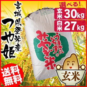 【令和元年産】選べる！玄米・精米 宮城県産つや姫 30kgつや姫 30kg 玄米 精米 米 お米 つやひめ 30kg 30キロ こめ コメ 宮城 宮城県【TD】【米TRS】【メーカー直送品】