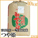 宮城県産つや姫 一等米 30kg【令和元年産】つや姫 玄米 30kg 米 お米 玄米 【TD】【米TKR】【メーカー直送品】【RCP】 [TUYA]【05P10Jan15】