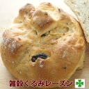 レーズンパン 【国産】雑穀 くるみ レーズンパン 雑穀パン 北海道産 小麦粉 100％使用 生 九穀練り込み ヘルシー カリフォルニア レーズン 添加物未使用 オーガニック ショートニング 無添加 国産小麦 シンプルな材料で お子様からお年寄りまで 安心パン