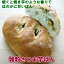 パン 雑穀パン さつま芋パン1個入り北海道産小麦きたのかおり使用 生九穀入り JAS有機認証オーガニックシュートニング使用