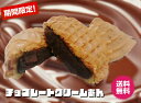 【米粉のたい焼き】 10個入りたい焼き 鯛焼き たいやき タイ焼き 「チョコレートクリーム」 和菓子 米粉 美味しい お菓子 チョコ 薄皮 子供 おやつ 冷凍 ...