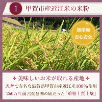 たい焼き【クール便送料込】【米粉のたい焼き】十勝産つぶあん入り米粉たい焼き(10個入り)【薄皮鯛焼きたい焼きタイヤキたいやき和菓子子供のおやつ米粉軽食冷凍スイーツ小分け個包装お試しギフトお取り寄せ詰め合わせ】