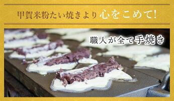 たい焼き【クール便送料込】【米粉のたい焼き】十勝産つぶあん入り米粉たい焼き(10個入り)【薄皮鯛焼きたい焼きタイヤキたいやき和菓子子供のおやつ米粉軽食冷凍スイーツ小分け個包装お試しギフトお取り寄せ詰め合わせ】