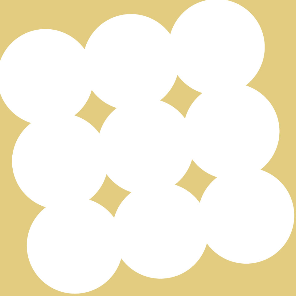 Shop icon
