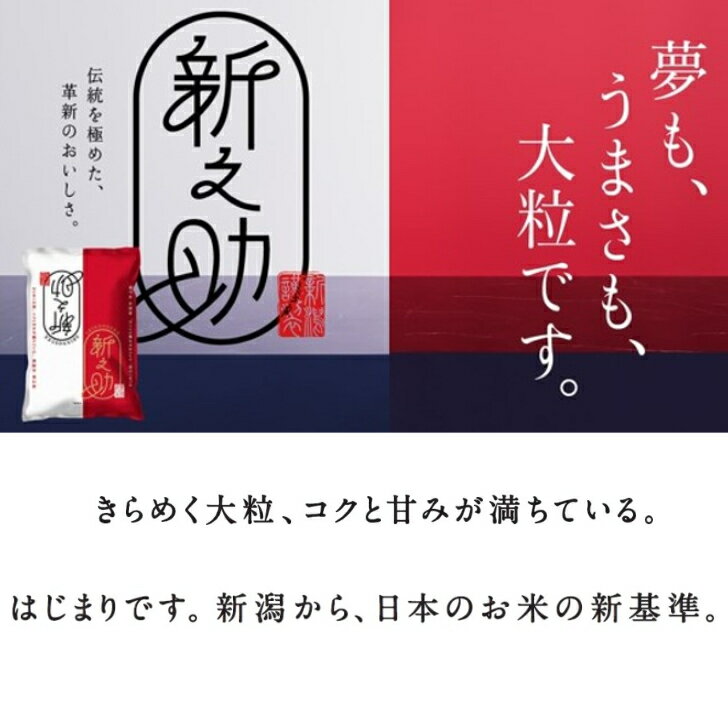 【令和5年産】 【送料無料】 5kg 新潟県 新之助 お米 精米 むらせ むらせライス ライス ギフト 令和5年産 おいしい 国産 こだわり HACCP さっぱり おかずに合う 白米 5キロ 米 コメ こめ