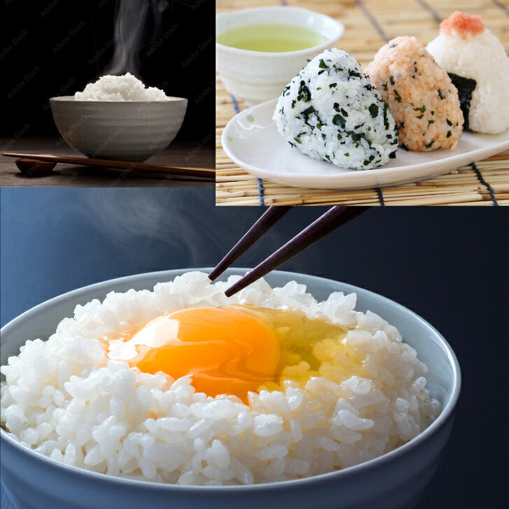 【令和7年産】 【送料無料】 福島県 こしひかり 5kg 10kg 15kg 20kg 30kg お米 精米 むらせ むらせライス ライス ギフト おいしい 国産 定番 コシヒカリ こしひかり 白米 5キロ 10キロ 15キロ 20キロ 30キロ 米 コメ こめ 新米 komekokoro-10000092 むらせライス「米こころ」 サンプル画像2