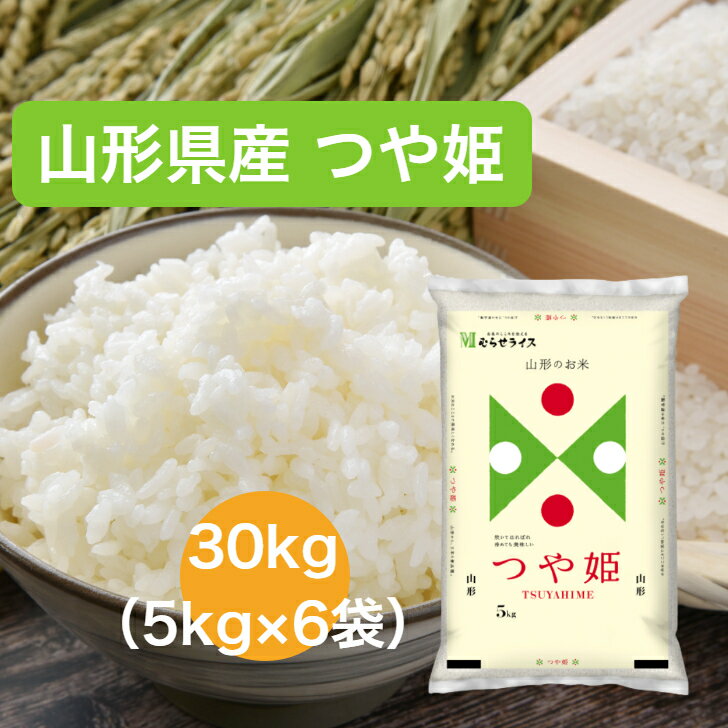 【令和5年産】 【送料無料】 30kg 山形県 つや姫 お米