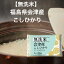 【令和5年産】【送料無料】 無洗米 福島県 会津産こしひかり お米 精米 むらせ むらせライス ギフト 国産 新食感 あまみ うまみ 定番 コシヒカリ 白米 5.3キロ 10.6キロ 15.9キロ 21.2キロ 31.8キロ 米 コメ こめ