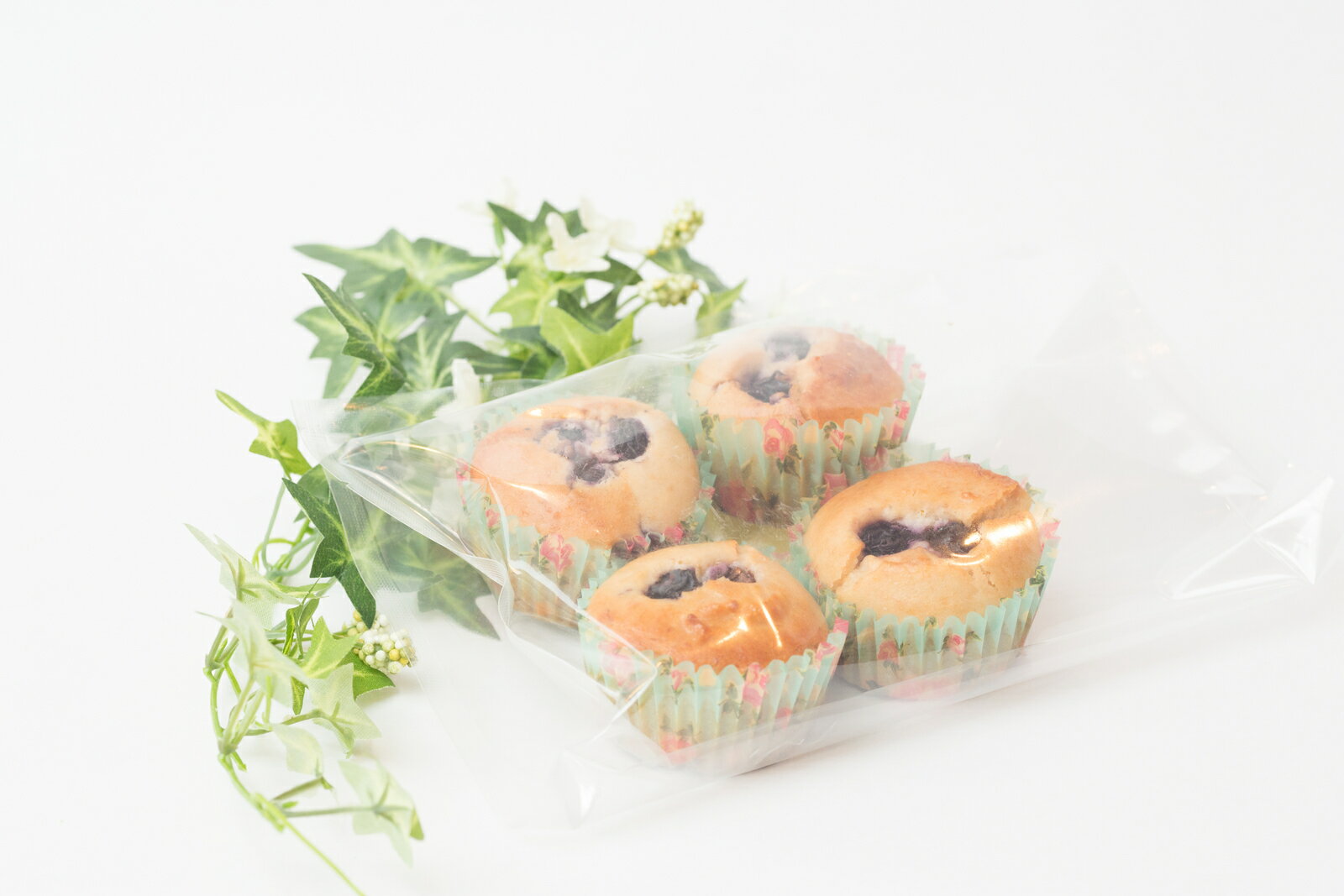 ��ʴ�ۻ� ���� ��ʴ �ޥե��� �֥롼�٥꡼̣ ����ƥ�ե꡼ ����륮���б� ���Ի��� �������Ի��� �μ����� ��Ĳ �������å�