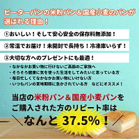 【お米の塩パン2個セット】米粉パン組み合わせ自由39ショップで送料無料保存料不使用無添加焼いてカリッもちっ健康パンロングライフパン天然酵母白神こだま酵母赤穂の天塩有機オーガニックパーム油米パン常温長期保存パンのお取り寄せ卵牛乳不使用新潟製粉
