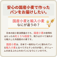 国産小麦五穀食パン10本セット無添加天然酵母食パン国産小麦パン五穀パン五穀パン健康ロングライフパン冷凍不要常温長期保存日持ちサステナブルお取り寄せキヌア大豆朝食おやつおいしい玄米大麦ゴマ個包装市販通販バレンタイン2021プレゼント