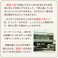 国産小麦五穀食パン10本セット無添加天然酵母食パン国産小麦パン五穀パン五穀パン健康ロングライフパン冷凍不要常温長期保存日持ちサステナブルお取り寄せキヌア大豆朝食おやつおいしい玄米大麦ゴマ個包装市販通販バレンタイン2021プレゼント
