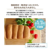 \期間限定sale10%OFF/おひとり様1点限り!お試し2500円ポッキリ送料無料米粉ドライフルーツ入りバケット4個セット無添加お米パンロングライフパン丸パン天然酵母常温総菜パン長期保存日持ちお取り寄せ朝食おやつ簡単グルメ美味しい