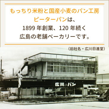 数量限定20%OFFクーポン配布中♪【ピーターパンの米粉食パン＆国産小麦食パン キューブ型 小ミニサイズ 4種類まとめてお取り寄せセットB】米粉パン 詰め合わせ 天然酵母で国産小麦パン お取り寄せ よもぎパン 玄米パン 五穀パン 保存料不使用 有機オーガニックパーム油