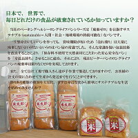\期間限定sale10%OFF/おひとり様1点限り!お試し2500円ポッキリ送料無料米粉ドライフルーツ入りバケット4個セット無添加お米パンロングライフパン丸パン天然酵母常温総菜パン長期保存日持ちお取り寄せ朝食おやつ簡単グルメ美味しい