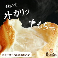 国産小麦五穀食パン10本セット無添加天然酵母食パン国産小麦パン五穀パン五穀パン健康ロングライフパン冷凍不要常温長期保存日持ちサステナブルお取り寄せキヌア大豆朝食おやつおいしい玄米大麦ゴマ個包装市販通販バレンタイン2021プレゼント